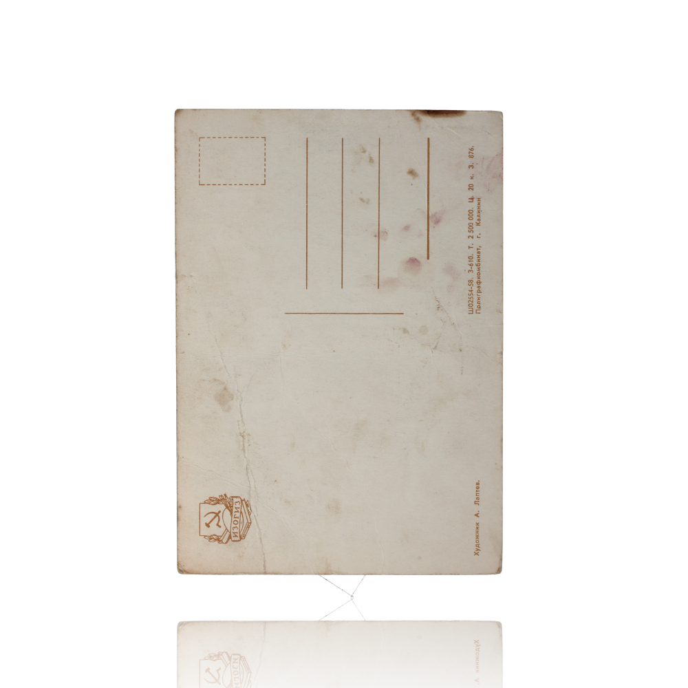 SA 429 (2)