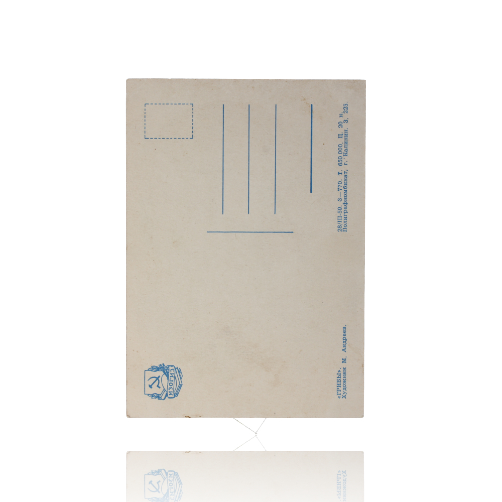 SA 486 (2)
